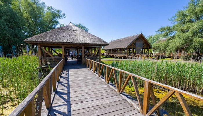 The Club Farm